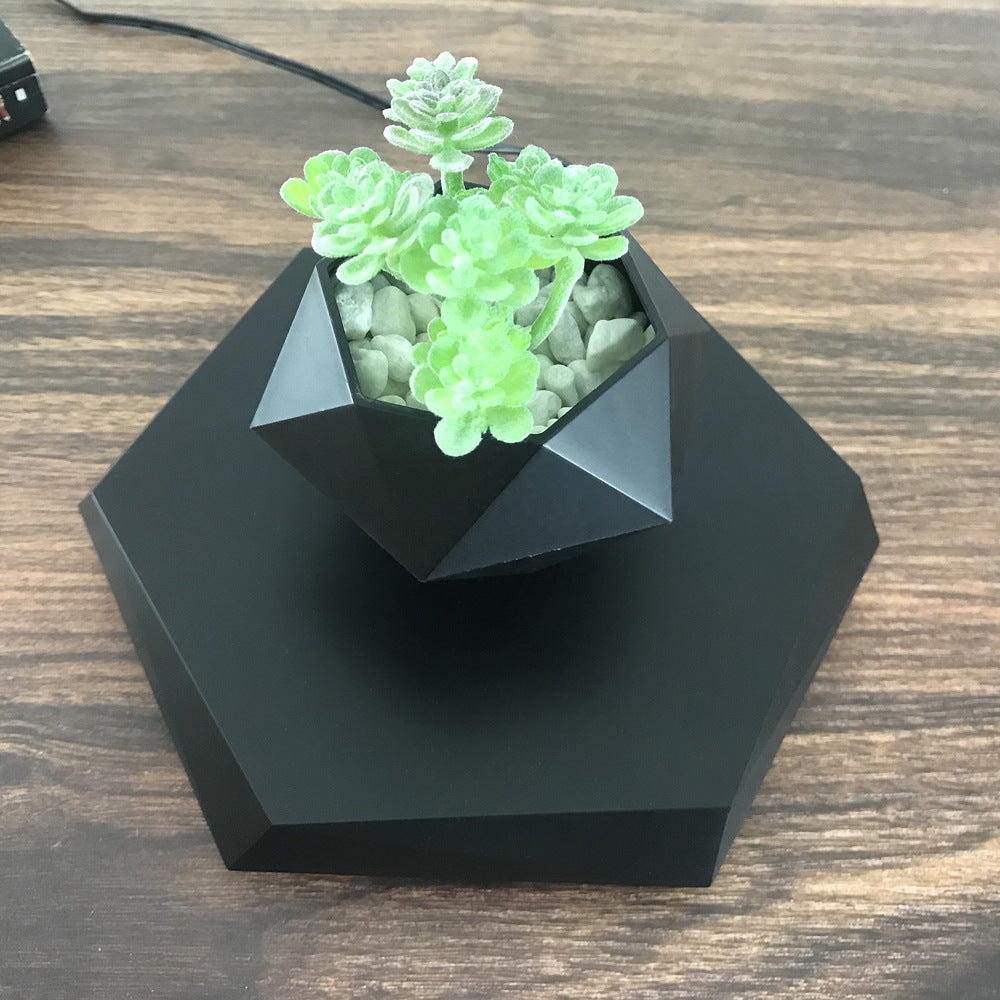 Geometric black planter with green succulents on a wooden surface