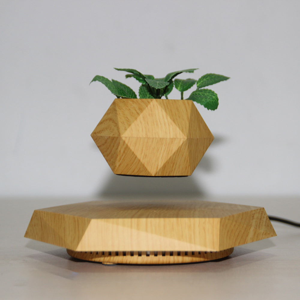Wooden levitating planter on a matching base against a plain background