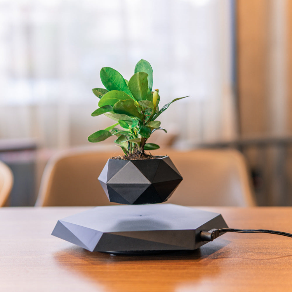 Geometric black and gray levitating plant pot on a wooden table with a blurred background