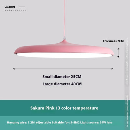 Nordic Modern Simple LED Chandelier Restaurant Chandelier Designer Chandelier