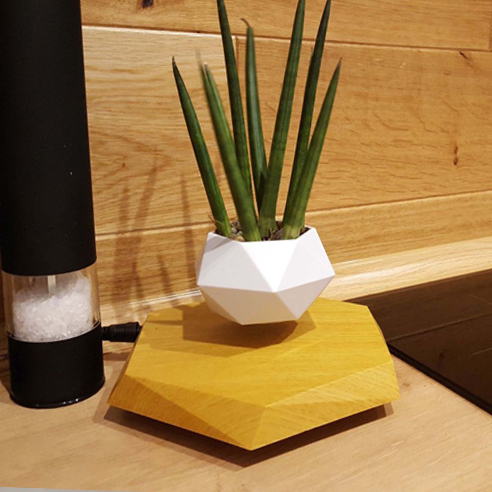 Geometric white planter with a plant on a yellow stand next to a black cylindrical object on a wooden surface.