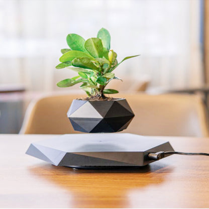 Levitating plant pot on a wooden surface with a blurred background