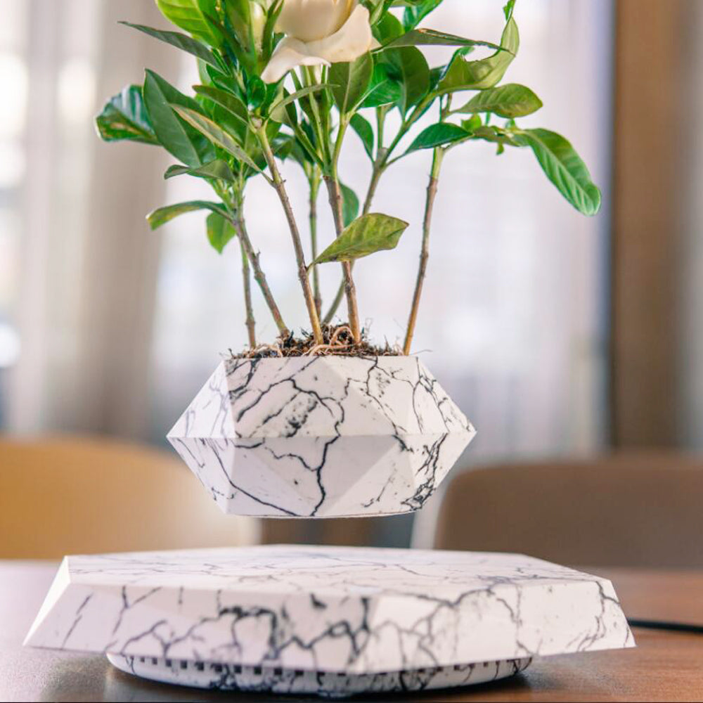 Marble-patterned geometric planter with a plant on a table.