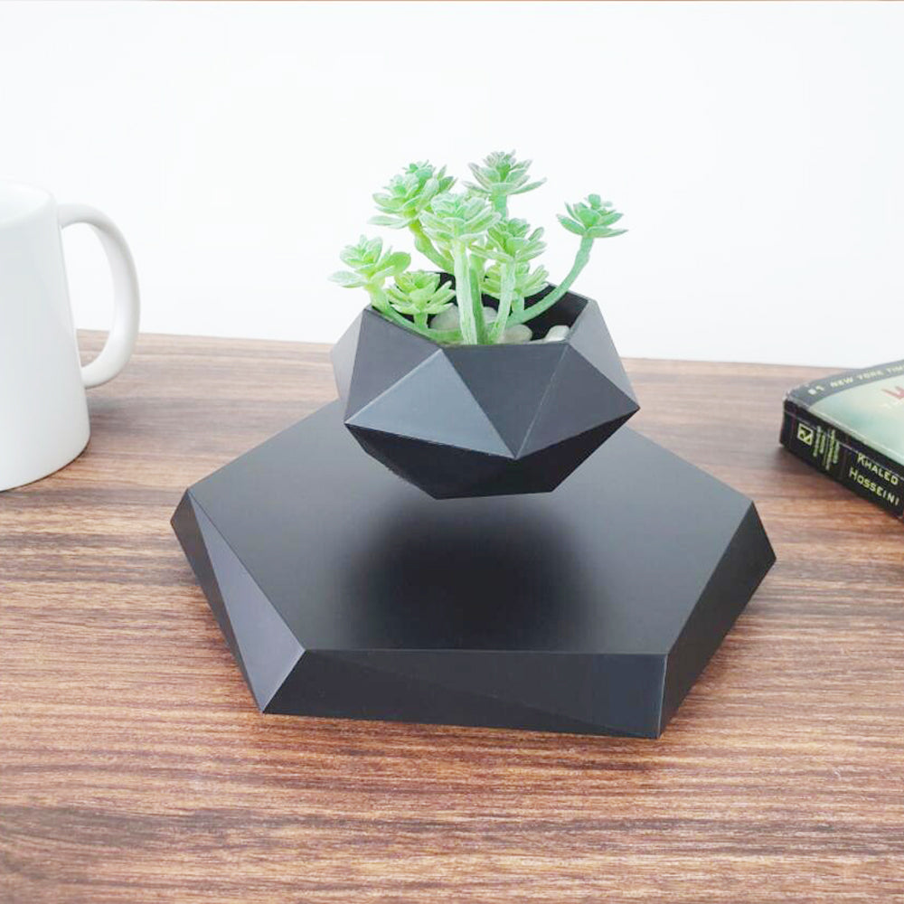 Black geometric levitating plant holder with a succulent on a wooden surface.
