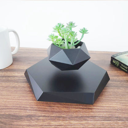 Black geometric levitating plant holder with a succulent on a wooden surface.